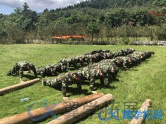 泉州軍事拓展公司,泉州軍事拓展活動